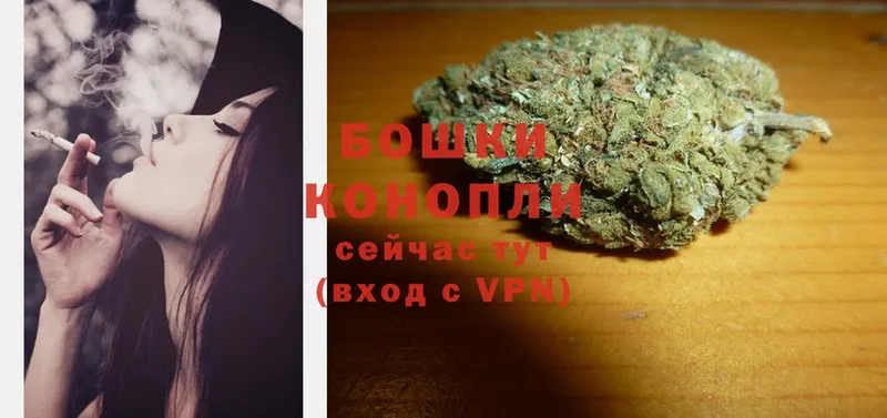 где найти наркотики  нарко площадка формула  Канабис THC 21%  Камышин 